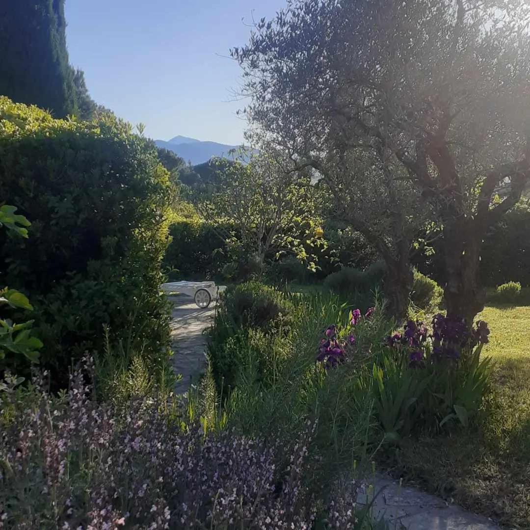Les Verveines De Vaison Exteriör bild