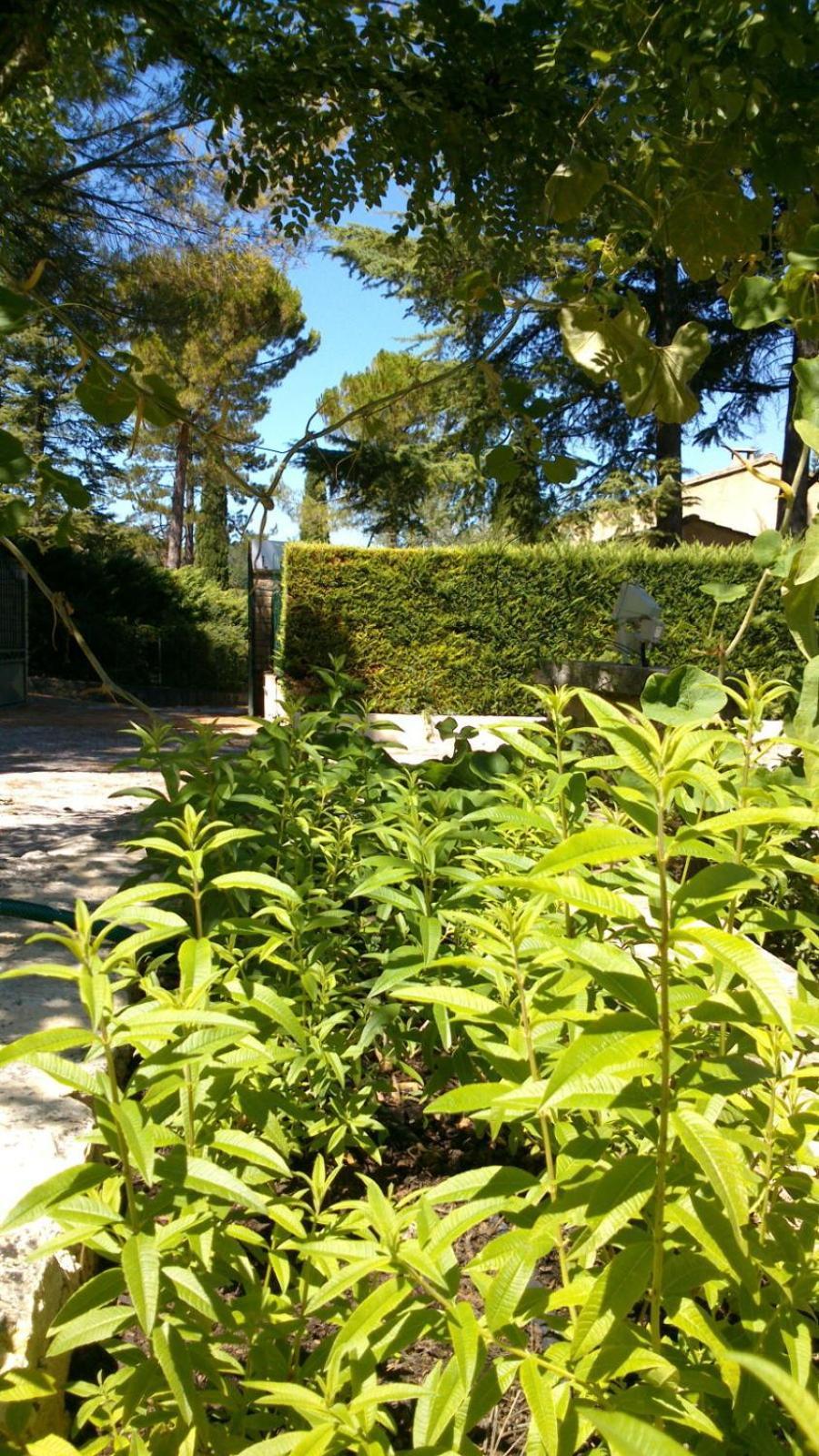 Les Verveines De Vaison Exteriör bild